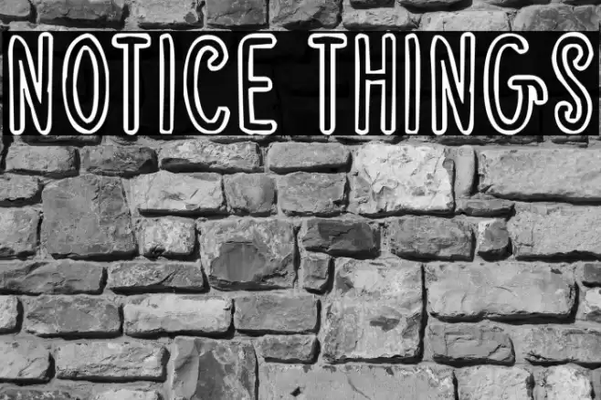 Notice Things Font examples