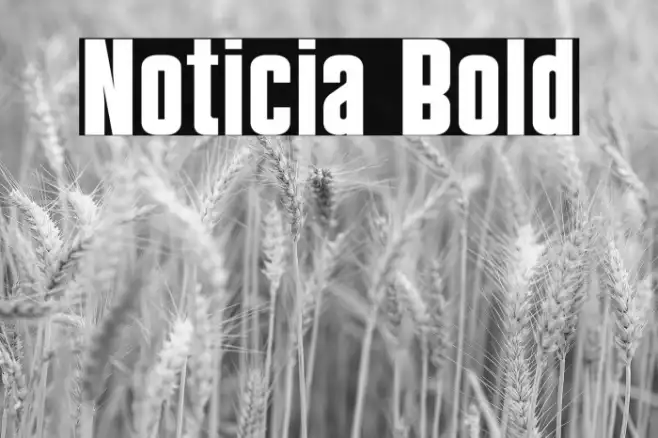 Noticia Bold Example 1