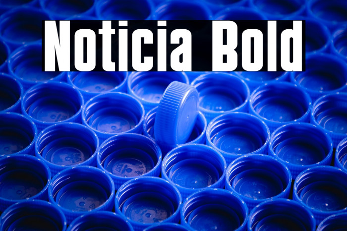 Noticia Bold Example 2