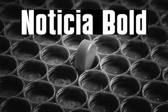 Noticia Bold Example 2