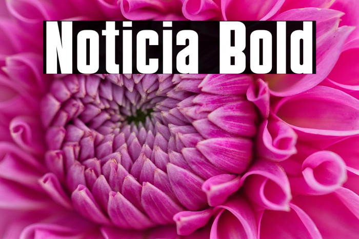 Noticia Bold Example 3