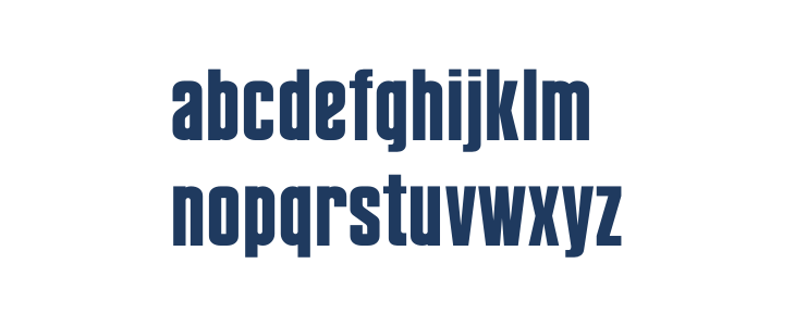 Noticia Bold Lowercase