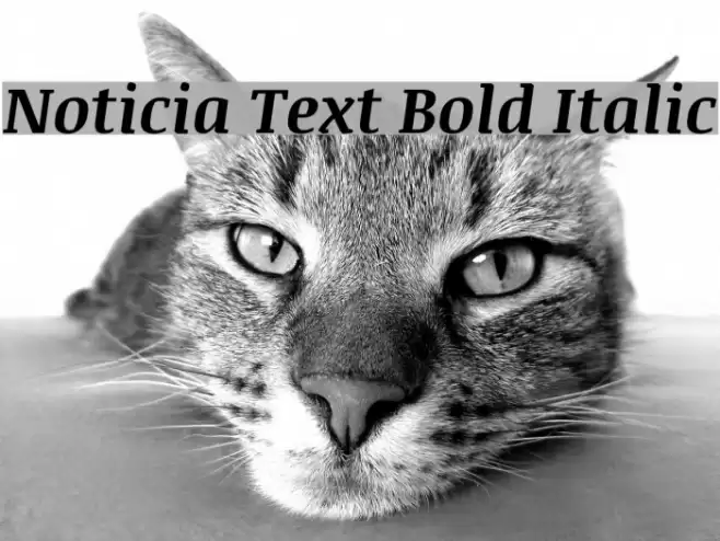 Noticia Text Bold Italic Polices examples