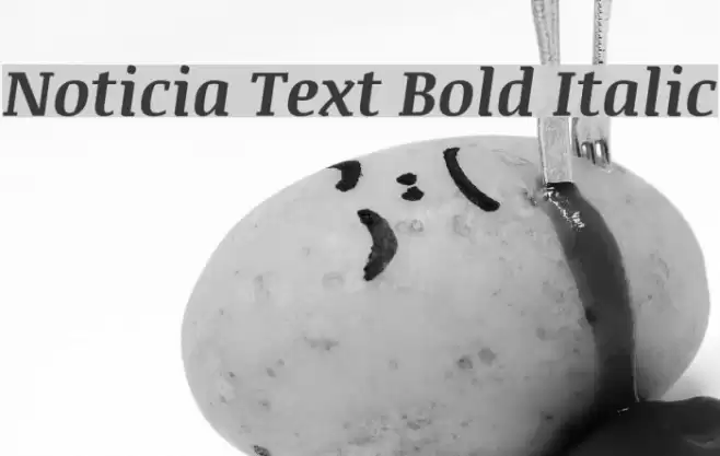 Noticia Text Bold Italic Polices examples