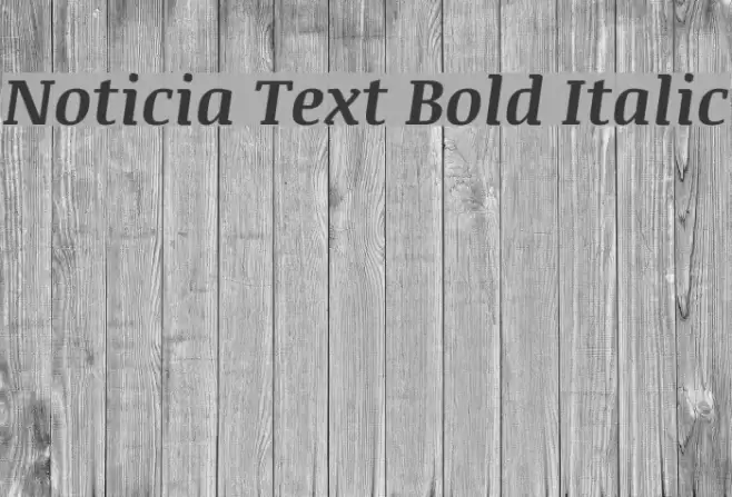 Noticia Text Bold Italic Polices examples