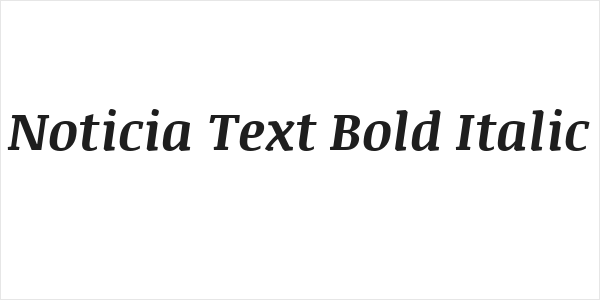 Noticia Text Bold Italic Logo