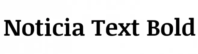 Noticia Text Bold 