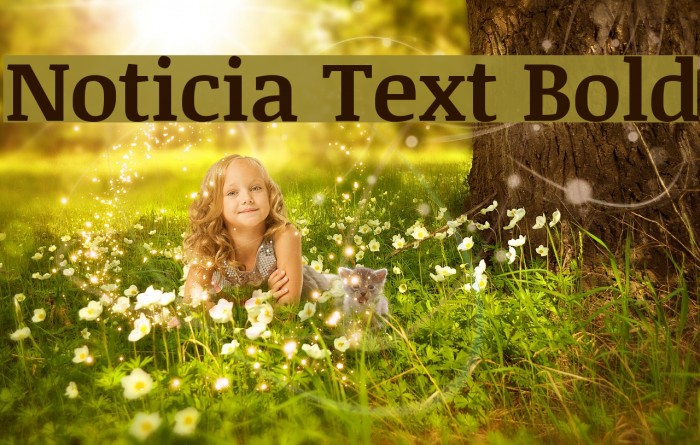 Noticia Text Bold Font examples