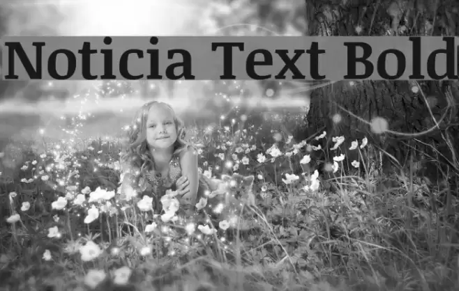 Noticia Text Bold examples