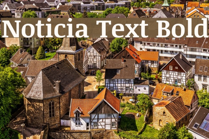 Noticia Text Bold Font examples