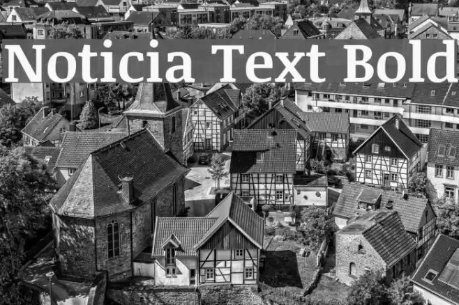 Noticia Text Bold examples