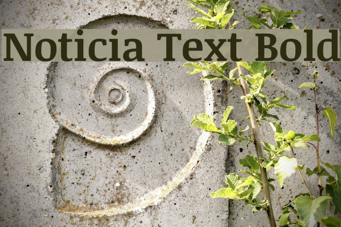 Noticia Text Bold Font examples