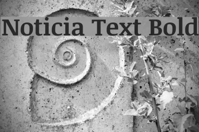 Noticia Text Bold examples