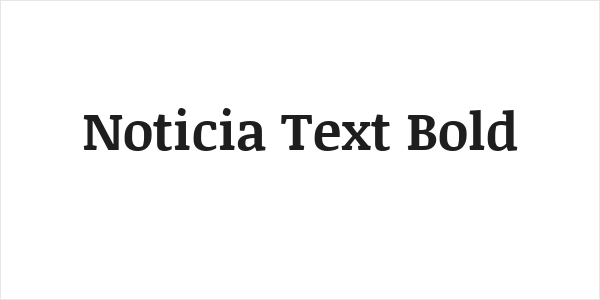 Noticia Text Bold Logo