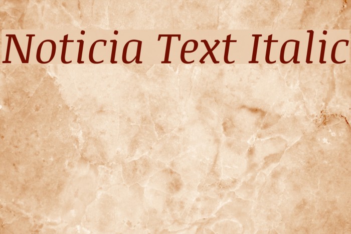 Noticia Text Italic Font examples