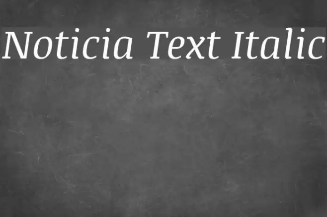 Noticia Text Italic フォント examples
