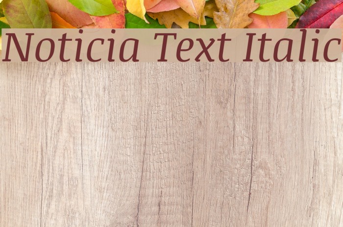 Noticia Text Italic Font examples