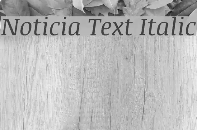 Noticia Text Italic フォント examples