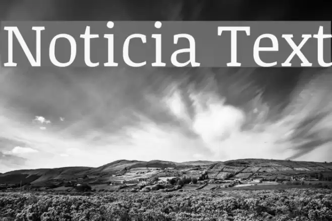 Noticia Text Font examples