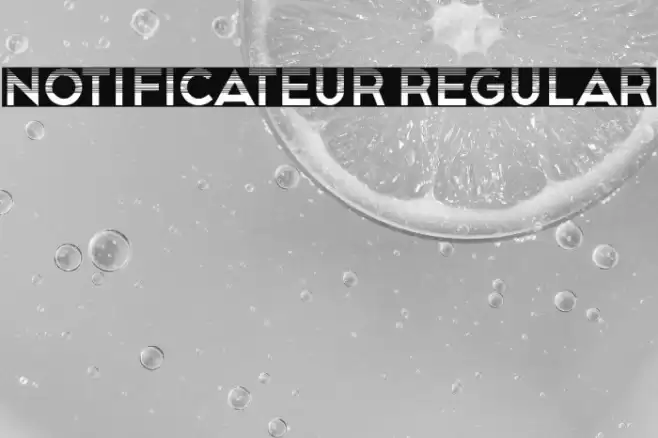 Notificateur Regular Font examples