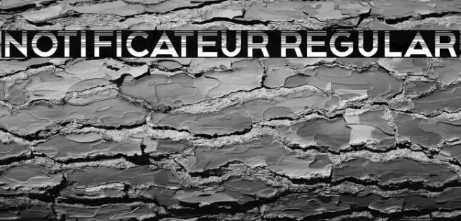 Notificateur Regular Font examples