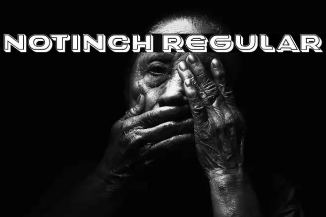 Notinch Regular Example 2