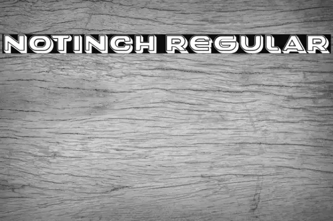 Notinch Regular Example 3