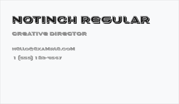 Notinch Regular Business Card