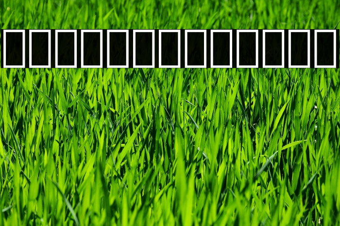 Noto Kufi Arabic Bold Fonte examples