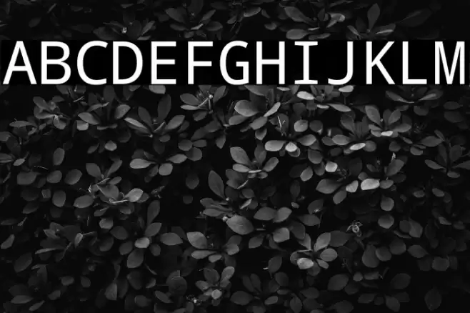 Noto Mono Font examples