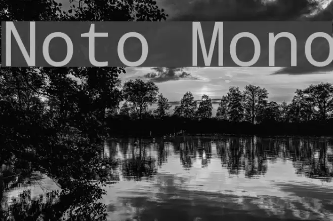 Noto Mono Font examples