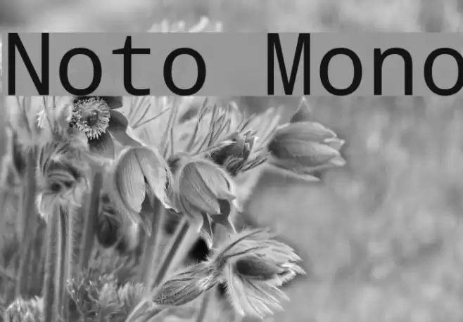 Noto Mono Font examples