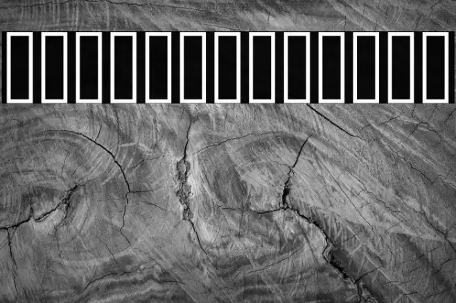 Noto Naskh Arabic Font examples