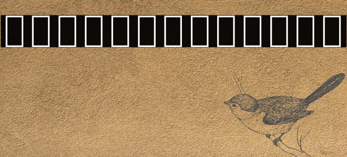 Noto Sans Arabic Condensed Light Example 2