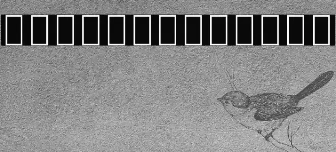 Noto Sans Arabic Condensed Light Font examples