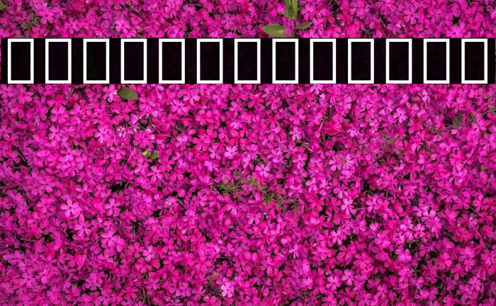 Noto Sans Arabic ExtraCondensed Bold Example 1