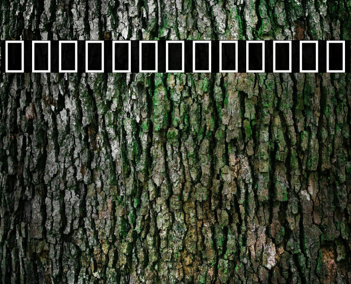 Noto Sans Arabic ExtraCondensed ExtraBold Example 3