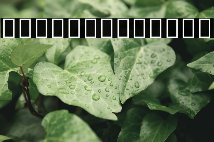 Noto Sans Arabic ExtraCondensed Medium Example 2