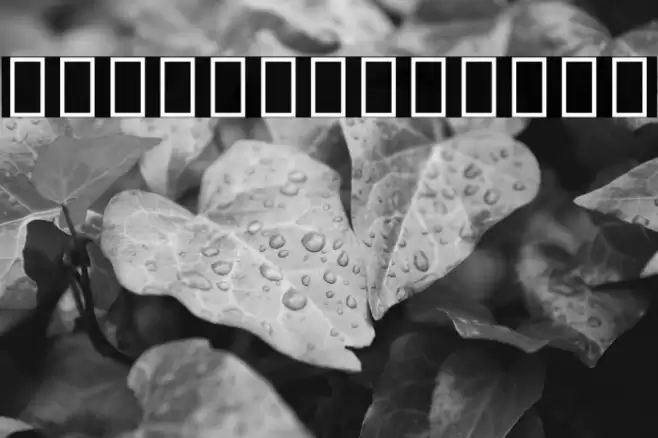 Noto Sans Arabic ExtraCondensed Medium Font examples