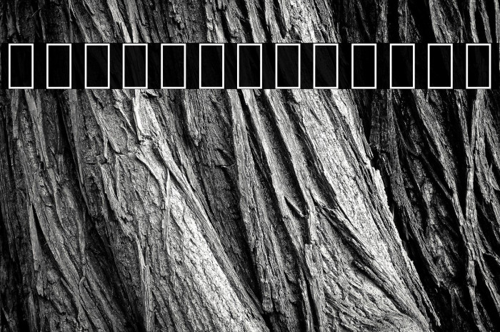 Noto Sans Arabic ExtraLight Example 2