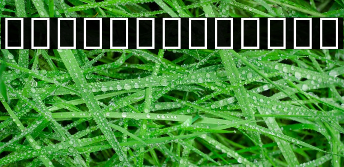 Noto Sans Arabic SemiBold Example 2