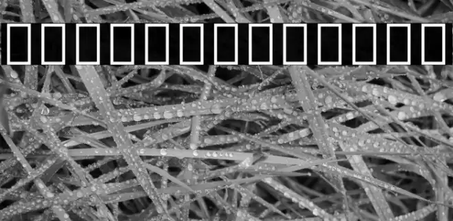 Noto Sans Arabic SemiBold Font examples