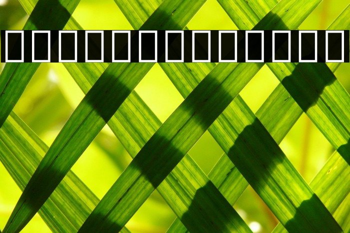 Noto Sans Arabic SemiCondensed Bold Example 2