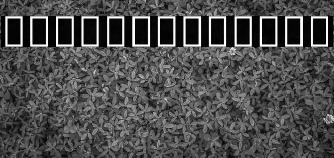 Noto Sans Armenian Condensed Bold Font examples