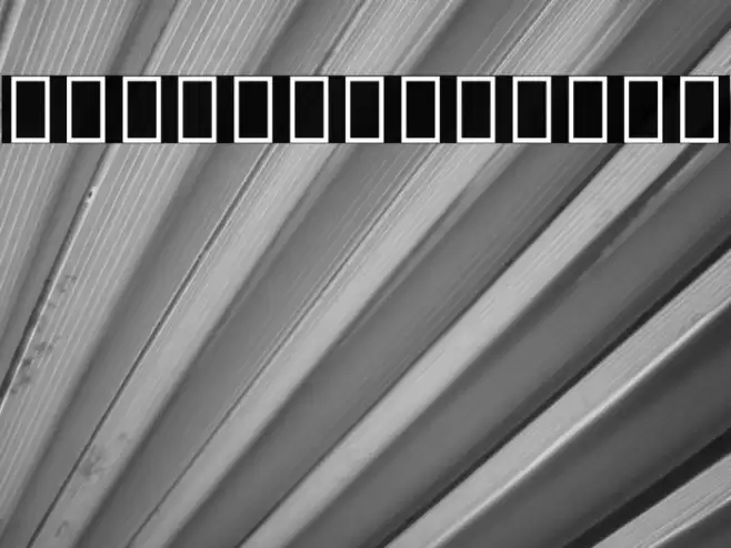 Noto Sans Armenian Condensed Medium Font examples