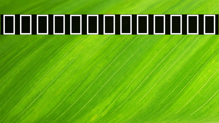 Noto Sans Armenian Condensed Medium Example 3