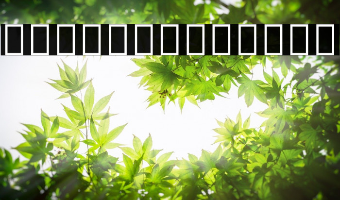 Noto Sans Armenian Medium Font examples