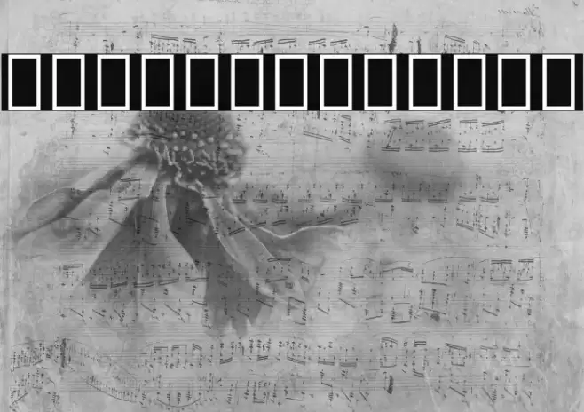 Noto Sans Armenian SemiCondensed Black Font examples