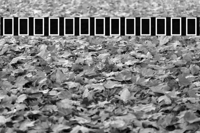 Noto Sans Armenian SemiCondensed Bold Example 3