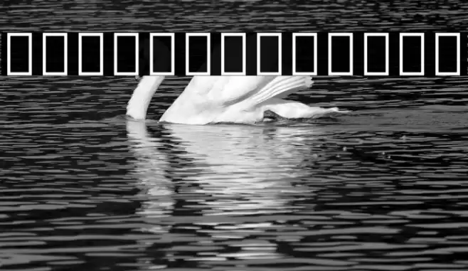 Noto Sans Armenian SemiCondensed Medium Font examples